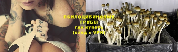 меф Вяземский