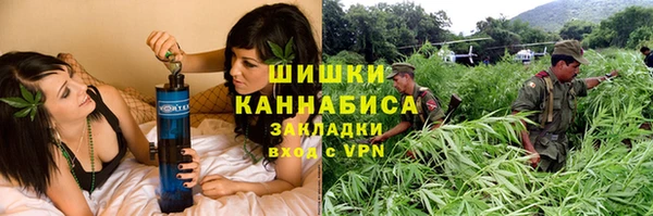 меф Вяземский