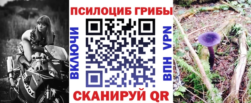 Псилоцибиновые грибы Magic Shrooms Дагестанские Огни